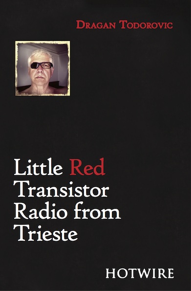 Cover of the book